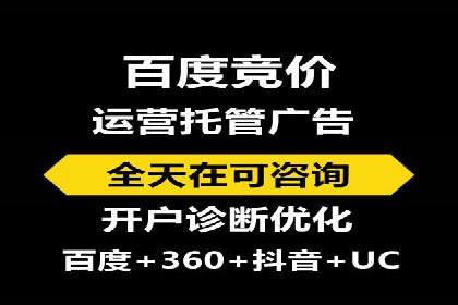 百度竞价托管公司成功案例：打造行业领先品牌
